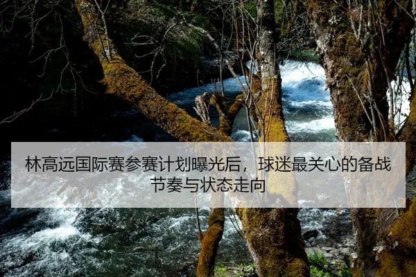 林高远国际赛参赛计划曝光后，球迷最关心的备战节奏与状态走向